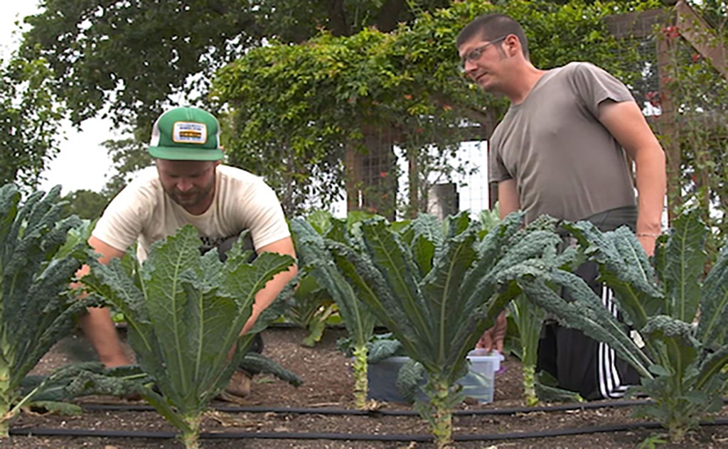 Community First Garden Community First Garden
