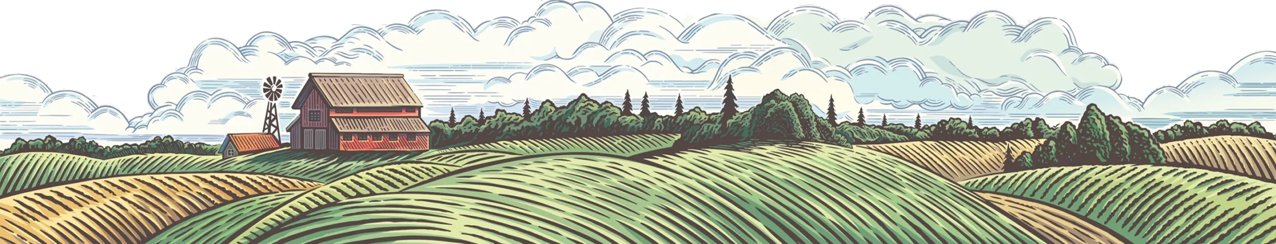 Country Landscape Photo