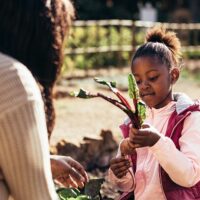 Combining Regenerative Agriculture and Homelessness — Comprehensive Solutions to Bring the Bottom Up