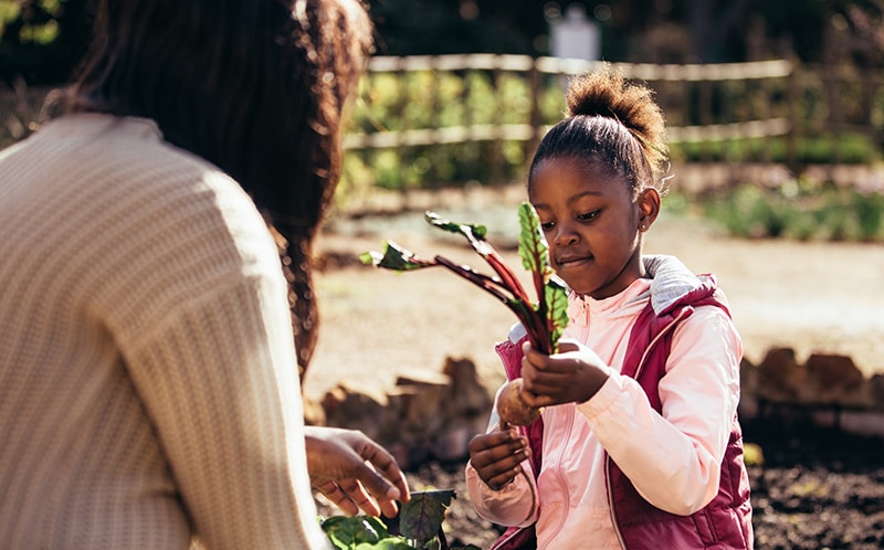 Combining Regenerative Agriculture and Homelessness — Comprehensive Solutions to Bring the Bottom Up - Blog