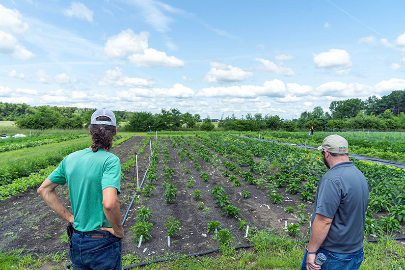 Perkins’ Good Earth Farm